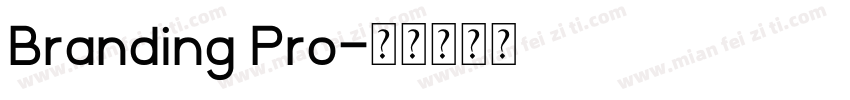 Branding Pro字体转换